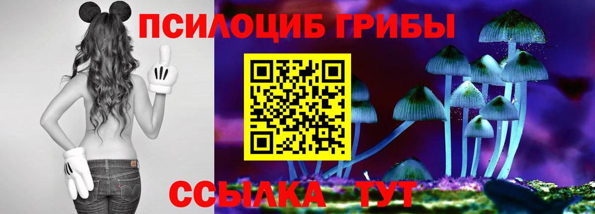 Псилоцибиновые грибы GOLDEN TEACHER  Вход с VPN  Михайловск 